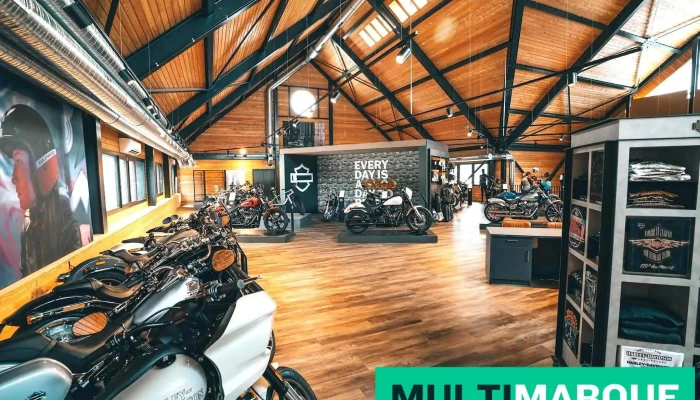 Butikofer Harley Davidson Zurich   Moto84 Vom Inhaber - Rümlang