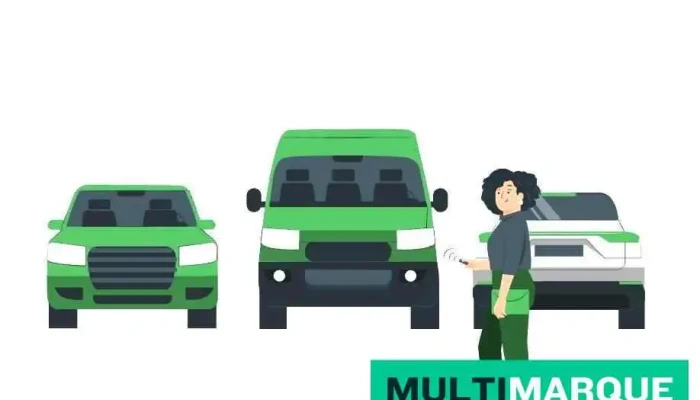 Carl-e GmbH | das E-Mobilitätsabo für Unternehmen - Langnau Im Emmental