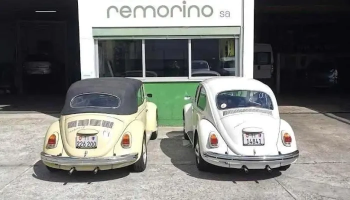Carrozzeria Remorino Sa - Minusio