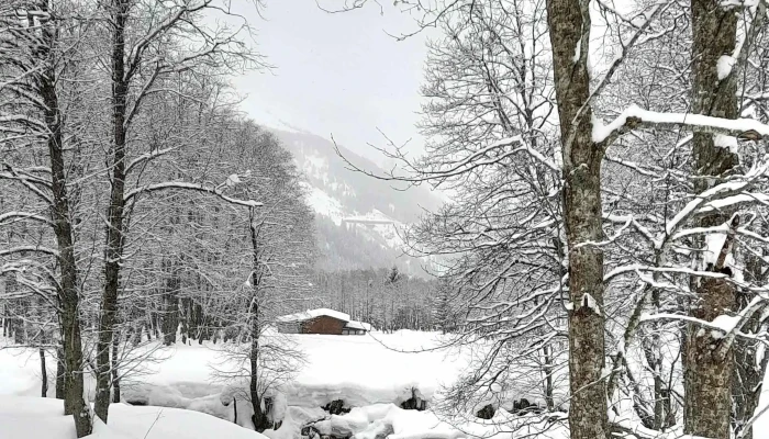 Centro Sci Nordico Campra -  Adresse - Olivone