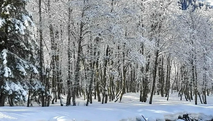 Centro Sci Nordico Campra -  In Meiner Nahe - Olivone