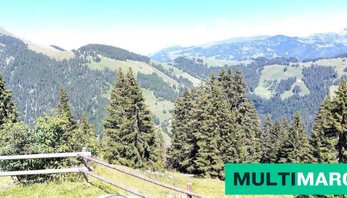 Chalet Grat -  Parc Naturel Regional Gruyere Pays Denhaut - Jaun