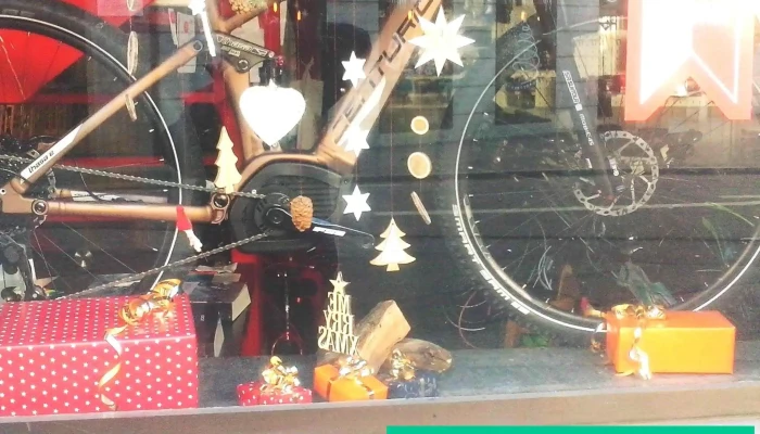 Cicli Rivolta Sagl -  Alle - Bellinzona