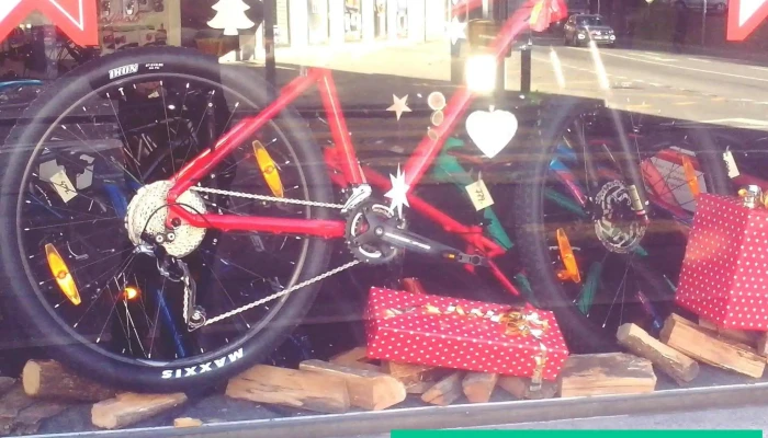 Cicli Rivolta Sagl -  Innenansichten - Bellinzona