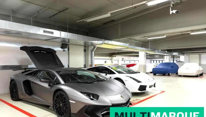 Classic And Sport Cars Storage -  Alle - Bioggio