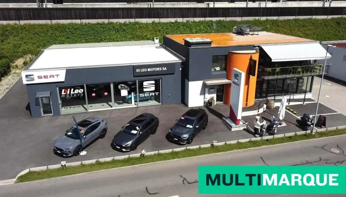 Di Leo Motors Sa -  Vom Inhaber - Biasca