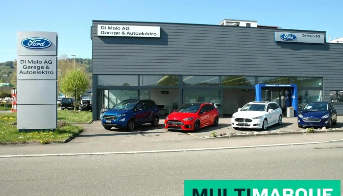 Di Maio Ag Garage Autoelektro Alle - Spreitenbach