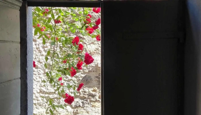 Do -  Minus Guesthouse Conceptstore Aussenbereich - Bellinzona