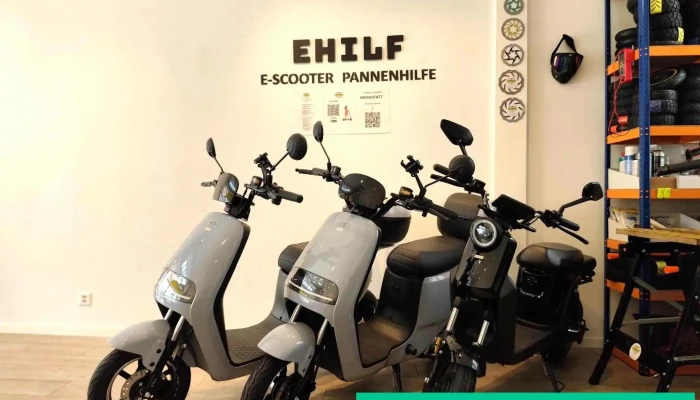 E -  Scooter Pannenhilfe Basel E -  Scooter E -  Roller Showroom Reparatur Werkstatt Alle - Basel