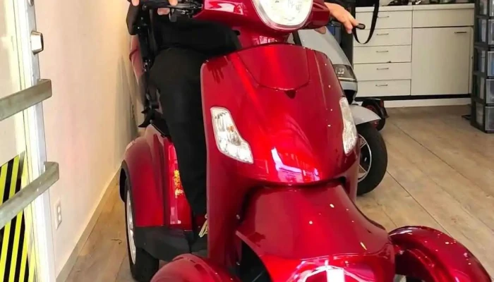 E -  Scooter Pannenhilfe Basel E -  Scooter E -  Roller Showroom Reparatur Werkstatt Vom Inhaber - Basel
