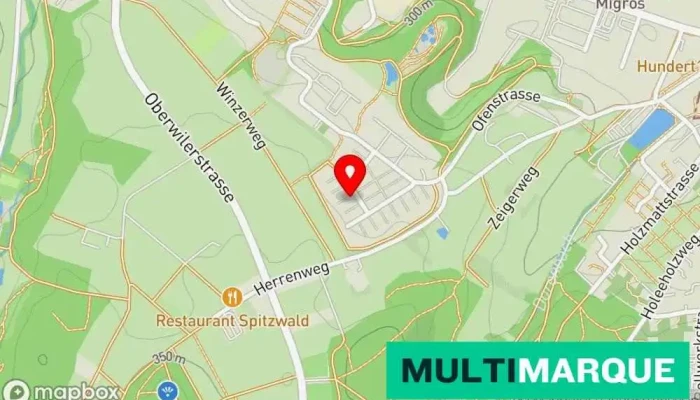 Easyauto -  Karte - Allschwil