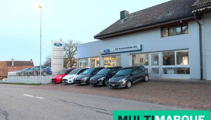 Ek Automobile Ag Alle - Kestenholz