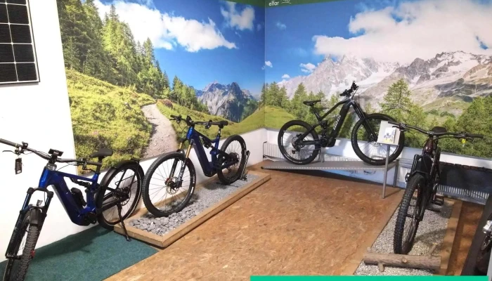 Elfar Gmbh Mountainbike - Unterentfelden