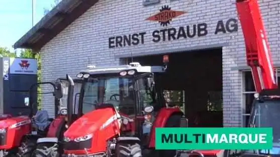 Ernst Straub Ag - Koppigen