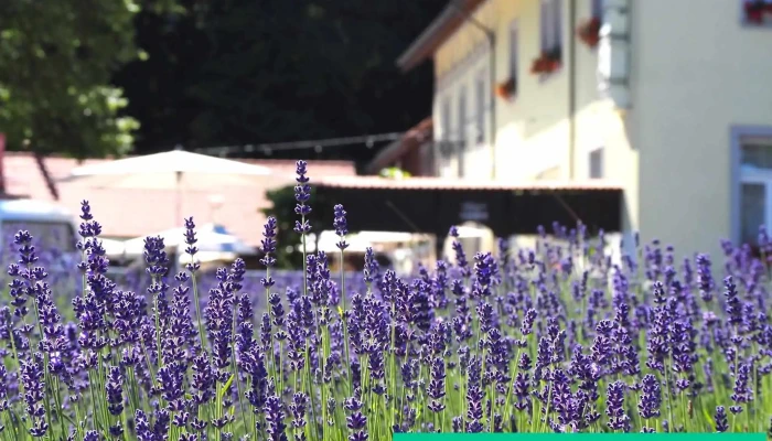 Eventgasthof Eberg -  Vom Inhaber - Walterswil