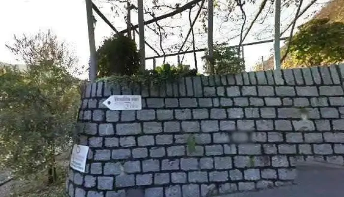 Fattoria Lamorosa Street View 360deg Fotos - Gudo