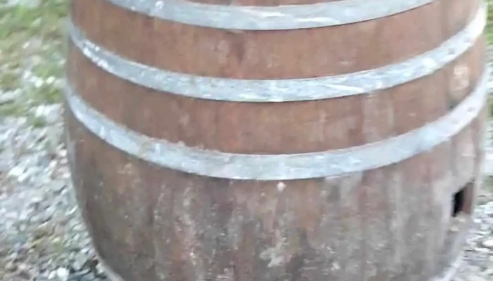 Fattoria Lamorosa Videos - Gudo