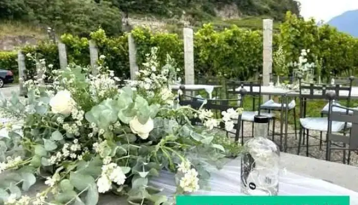 Fattoria Lamorosa Vom Inhaber - Gudo