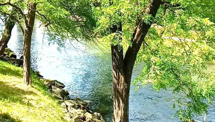 Freiburg -  Videos - Freiburg