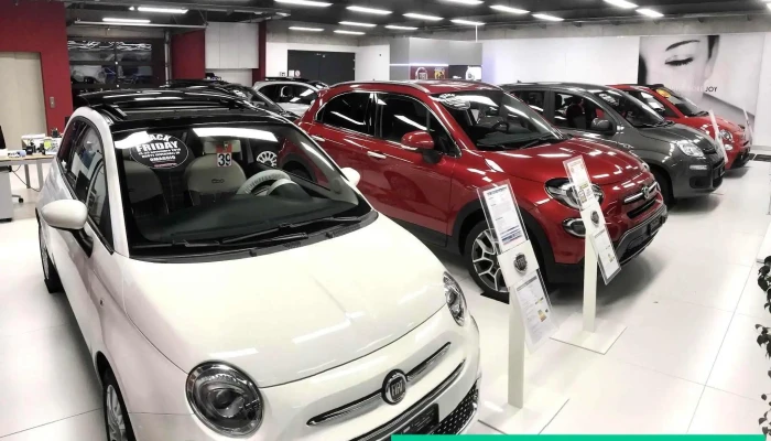 Garage Carrozzeria Pemocar Sa -  Innenansichten - Chiasso