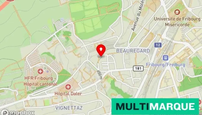 Garage D Jungo Karte - Fribourg