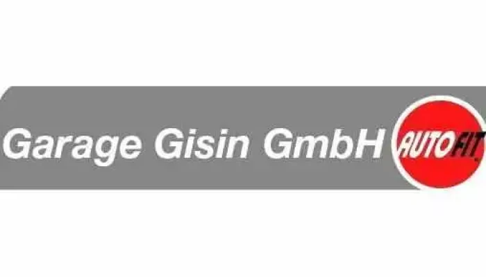 Garage Gisin Gmbh Vom Inhaber - Ziefen