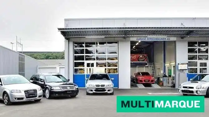 Garage Kerschbaumer Ag -  Alle - Lenzburg
