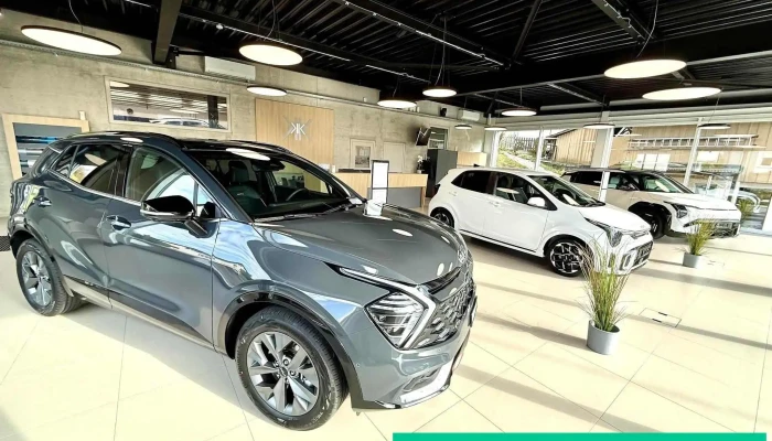 Garage Kurt Kung Ag Alle - Holderbank