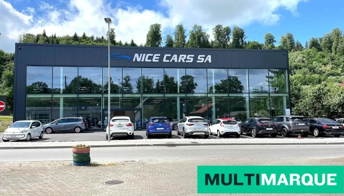 Garage Nice Cars Sa -  Vom Inhaber - Marly