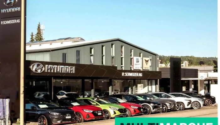 Garage P Schweizer Ag Vom Inhaber - Liestal
