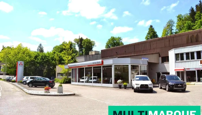 Garage Staub -  Alle - Wünnewil-flamatt