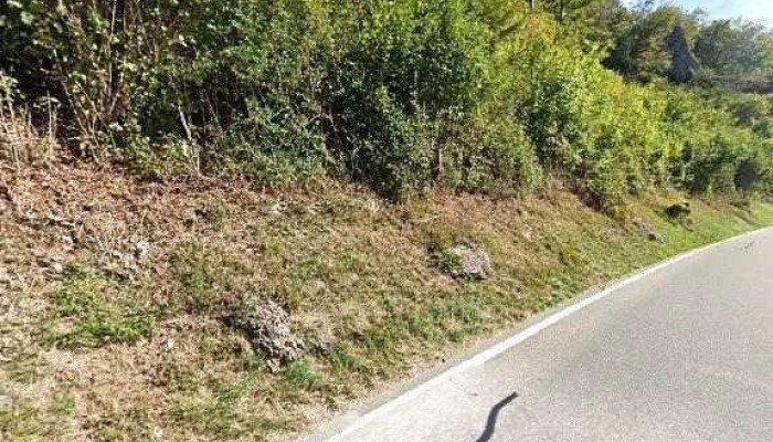 Gast Und Hof Spittel Langenbruck Street View 360deg Fotos - Langenbruck