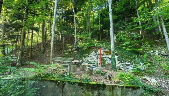 Gast Und Hof Spittel Langenbruck Von Gasten - Langenbruck