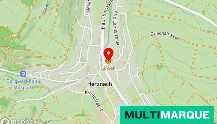 Gasthof Lowen Herznach Karte - Herznach