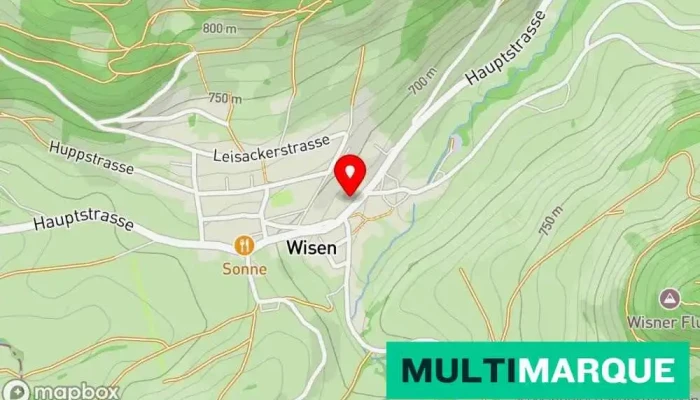 Gasthof Lowen Karte - Wisen