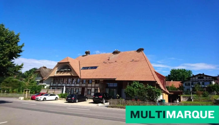 Gasthof Traube - Grossaffoltern