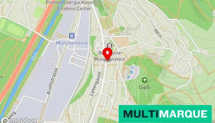 Gebruder Loeliger Karte - Münchenstein