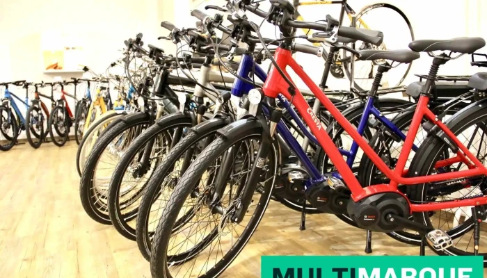 Gebruder Loeliger Mountainbike - Münchenstein