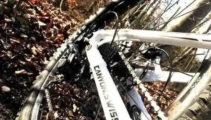 Gebruder Loeliger Strassenfahrrad - Münchenstein