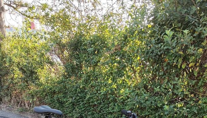 Gutlin Velo Fahrradgeschaft - Binningen
