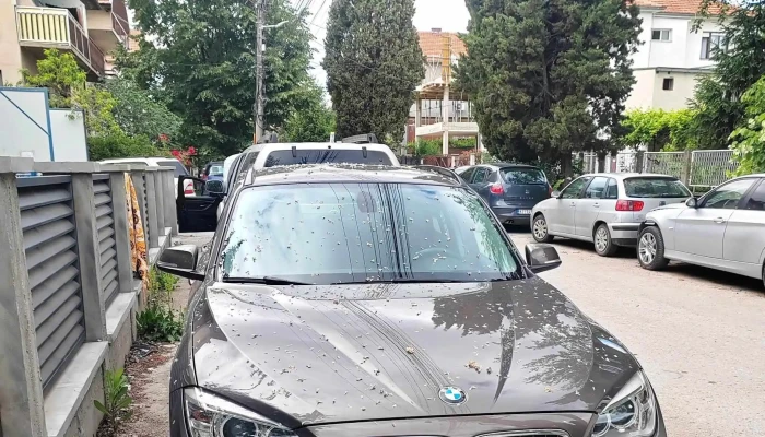 Hammoud Autohandel -  Autohandler - Oftringen