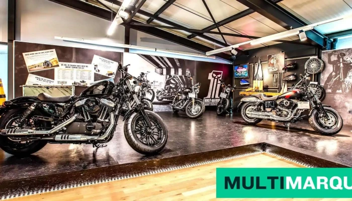 Harley -  Davidson Aargau Schweiz Switzerland Suisse Chopper - Densbüren
