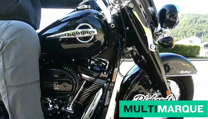 Harley -  Davidson Basel Richards Motorcycles Ag Videos - Aesch