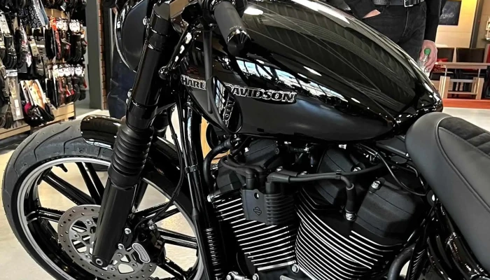 Harley -  Davidson Basel Richards Motorcycles Ag Zone - Aesch