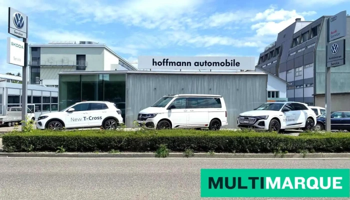 Hoffmann Automobile Ag -  Alle - Allschwil