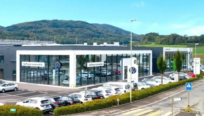 Hoffmann Automobile Ag Vw Nutzfahrzeuge -  Vom Inhaber - Aesch