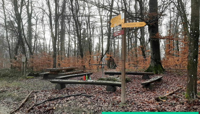 Hornli Aussichtspunkt Wald - Bad Zurzach