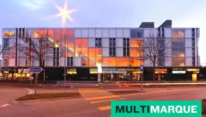 Hotel Baslertor - Muttenz