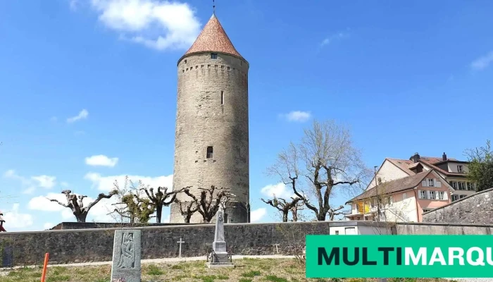 Hotel Du Lion D Or C Brodard Alle - Romont