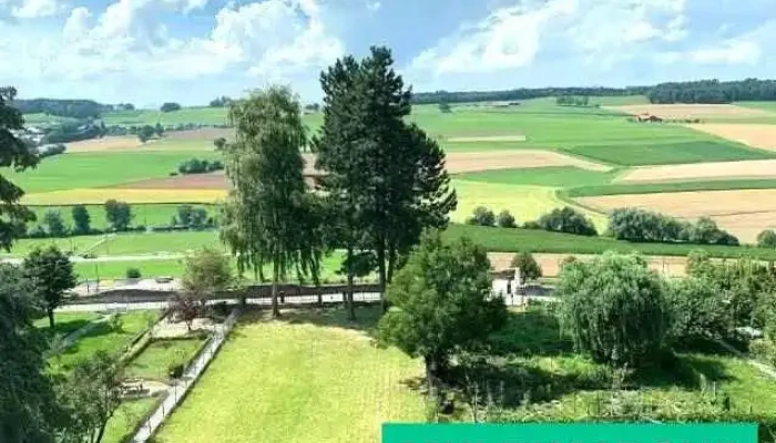 Hôtel du Lion d Or, C. Brodard - Romont